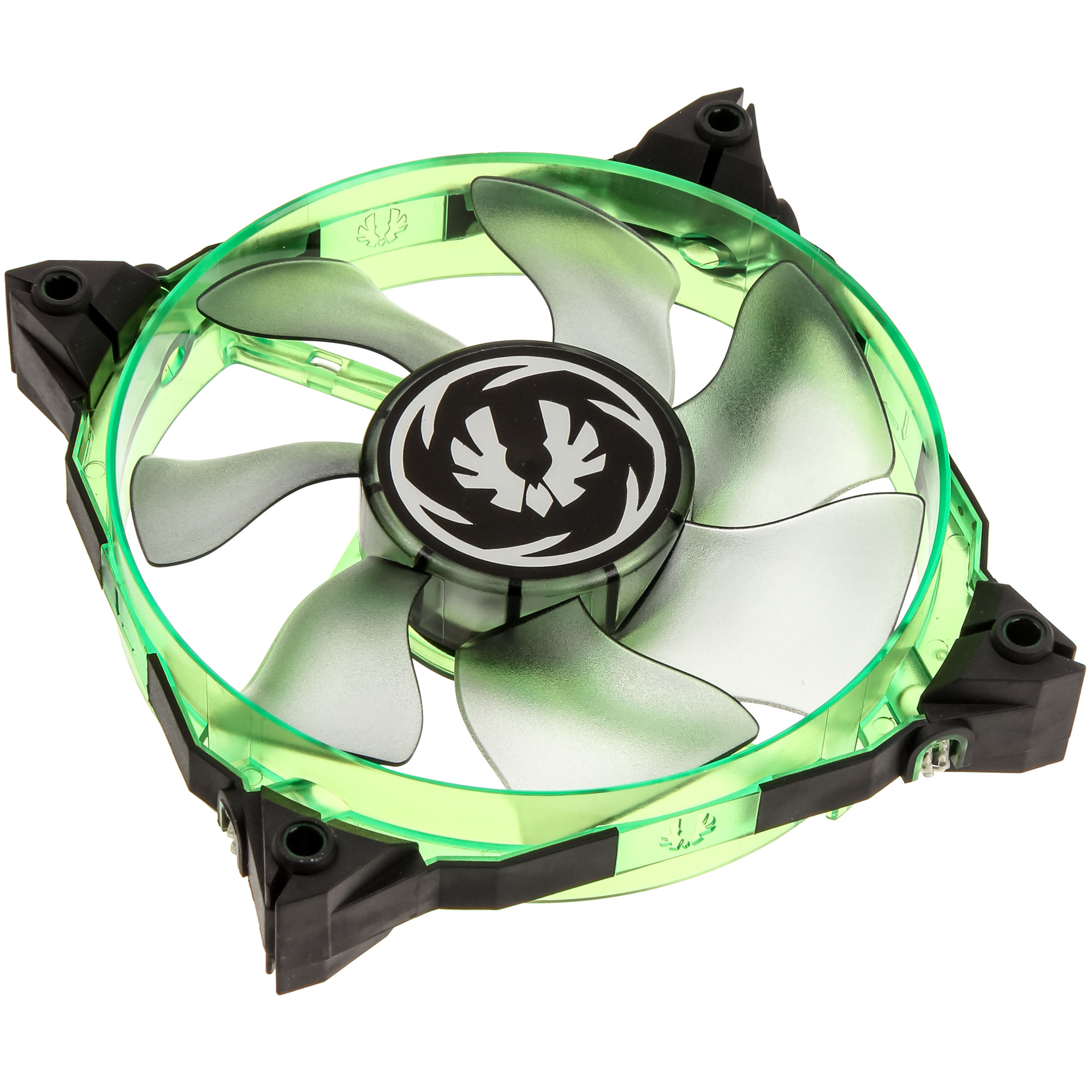 BFF SXTR 12025G RP 2
